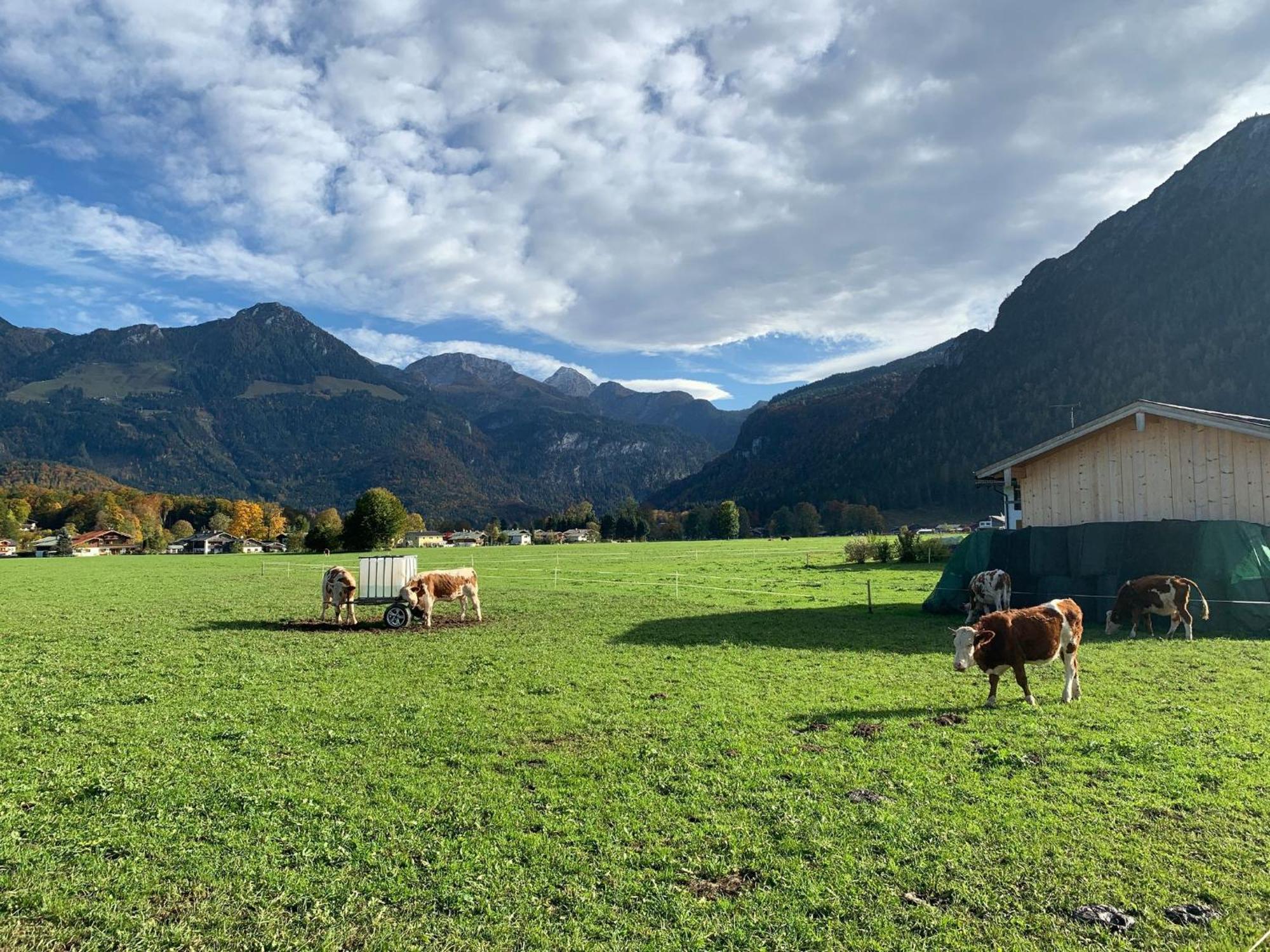 Ferienwohnung Hochkalterblick Schonau am Konigssee Bagian luar foto